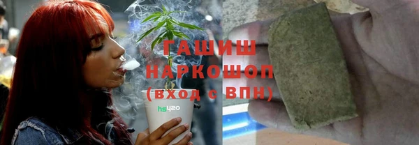 мдпв Рославль