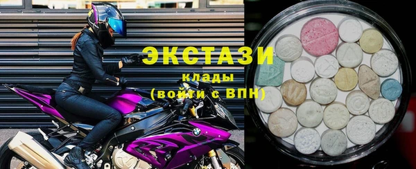 мдпв Рославль
